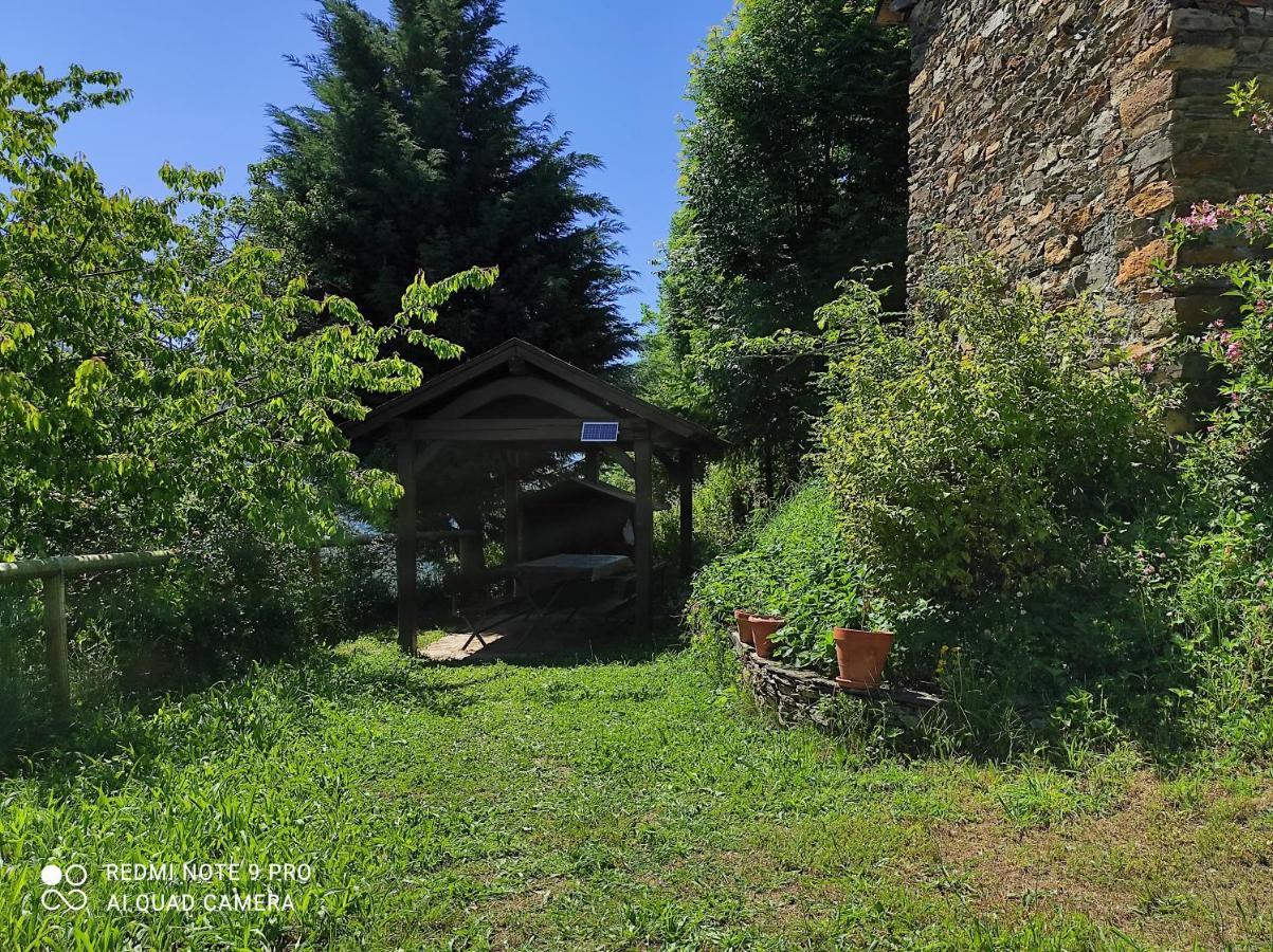Casa Colason